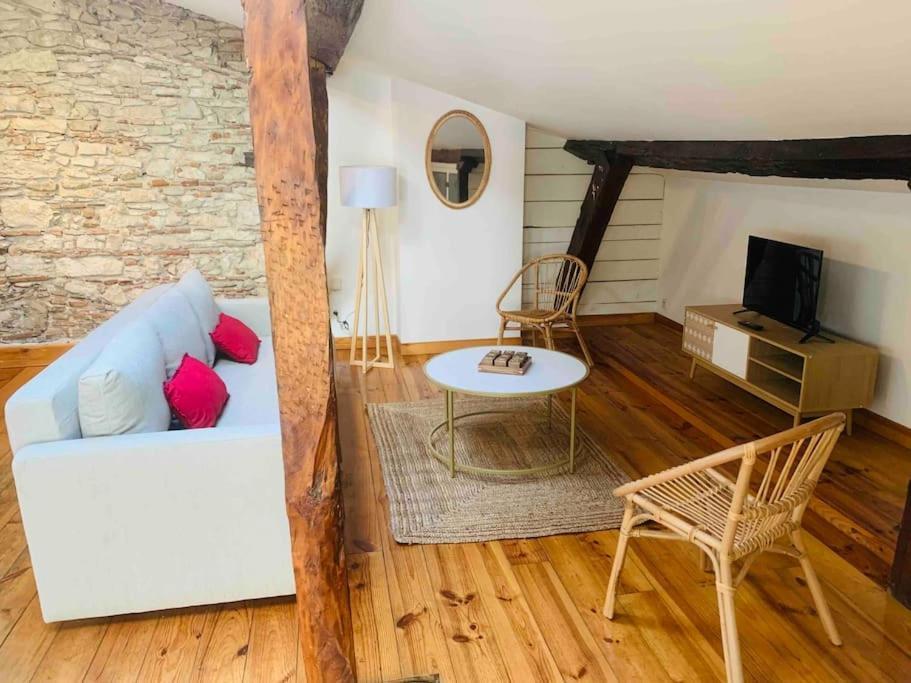 Spacieux Appartement En Plein Coeur De Castres 卡斯特尔 外观 照片