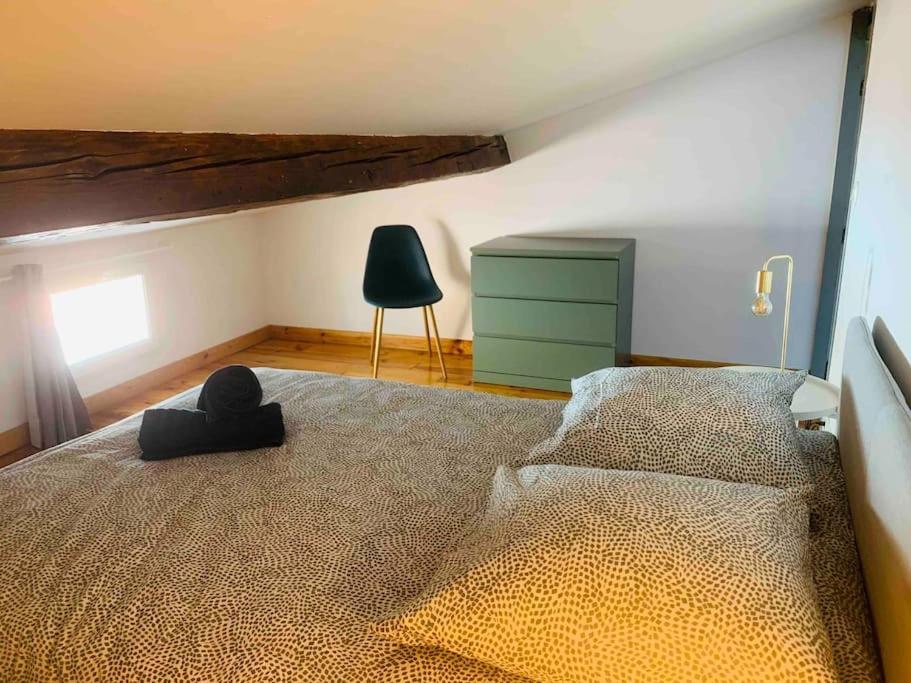 Spacieux Appartement En Plein Coeur De Castres 卡斯特尔 外观 照片