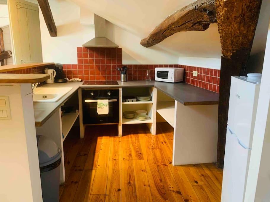 Spacieux Appartement En Plein Coeur De Castres 卡斯特尔 外观 照片