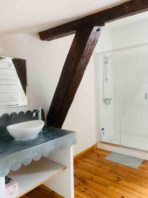Spacieux Appartement En Plein Coeur De Castres 卡斯特尔 外观 照片